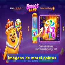 imagens de motel cobras